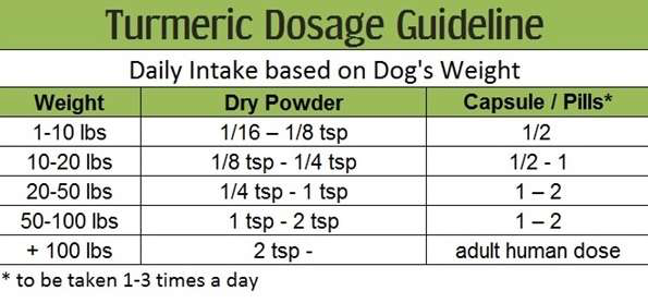 turmeric guidelines